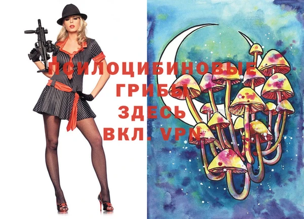 скорость Алексин