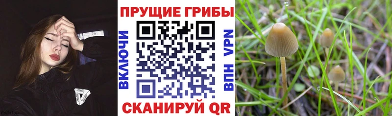 Галлюциногенные грибы Magic Shrooms  Гусь-Хрустальный 