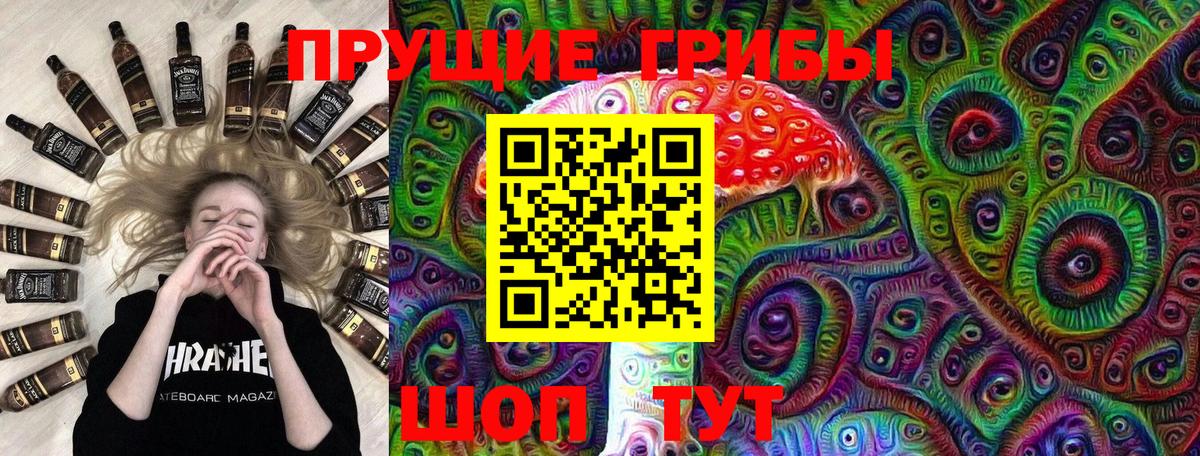 Галлюциногенные грибы Psilocybe Гусь-Хрустальный