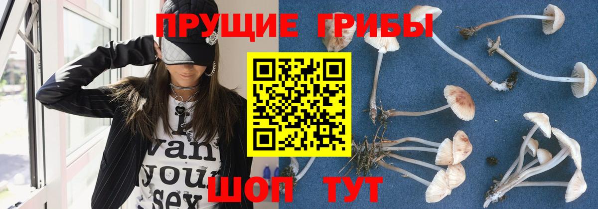 магазин продажи наркотиков  Галлюциногенные грибы мицелий  Вход с VPN  Гусь-Хрустальный 